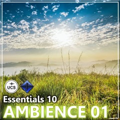 Sample - Essentials 10 AMBIENCE 01