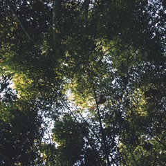 深池