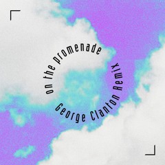 FM Skyline - On The Promenade (George Clanton Remix)