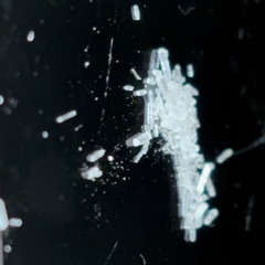 Voll gewixxter Freestyle.wav