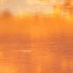 Progressive Meandering #53