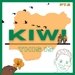 THIS IS KIWI PT.2 [AFROBEAT CHILL]