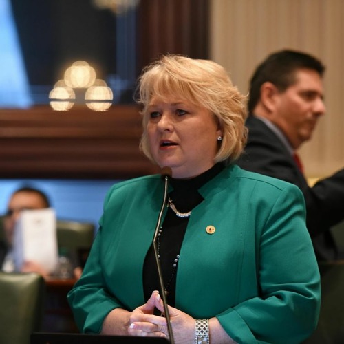 Stream Terri Bryant Interview 5 62020 by Radio Will Listen online