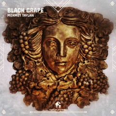 Mehmet Taylan - Black Grape (Cafe De Anatolia)