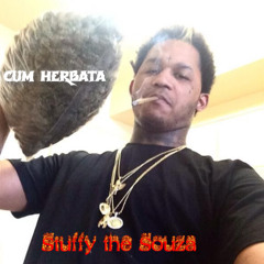 Stuffy the Souza - cum herbata