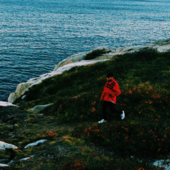 Bluu - Dumb Rich & Wasted