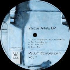 Roni Amital - Everythin (Original Mix)