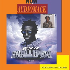 DJ COLLABO BEST OF SHALLIPOPI VOL 1 NONSTOP  MIX (1)