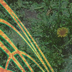 Ben Ohr // Moody Good - g4_raindrips ('til avril edit)