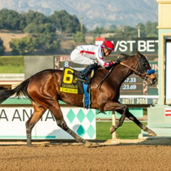 My Race Call Of The 2025 Beholder Mile At Santa Anita Racetrack