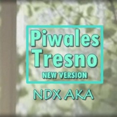[ IRSA ] PIWALES TRESNO 2024