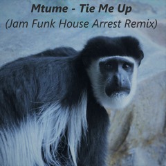 Mtume - Tie Me Up (Jam Funk House Arrest Remix)  / FREE DOWNLOAD