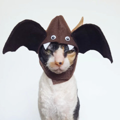 ⚠️FIFTH SET⚠️ CSC - GABBER/UPTEMPO MIX 195BPM 28/09/25