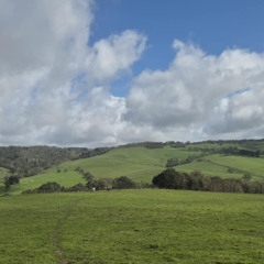 songs for lambs - Part IV