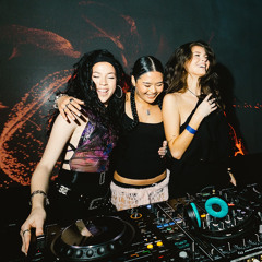 Tara Casey | INDEX 2024