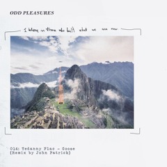 Premiere : Tedanny Flac - Toy (Original Mix)