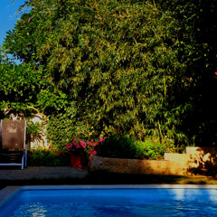 Want / Need - Moritz Michelson