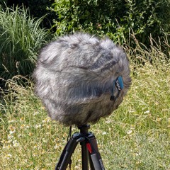 Big gusts of wind