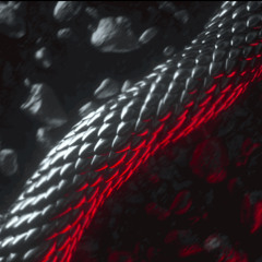 JUSTIN SWART – SERPENT (King Of Beats: Black Friday Edition)