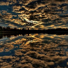 يَا أَيُّهَا النَّاسُ أَنتُمُ الْفُقَرَاءُ إِلَى اللَّهِ || حسن أشرف سيف الدين