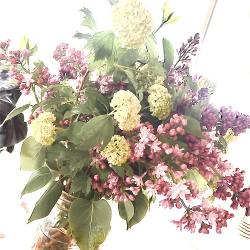 MAYBE I DIE LIKE SHE DID