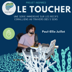 Projet INSPIRED: Episode 3 Le Toucher