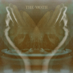The Moth