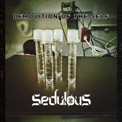 Demolition Of The Self