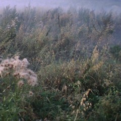 reason to believe (karen dalton)