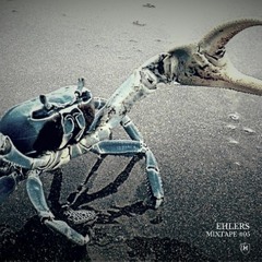 EHLERS - MIXTAPE #05