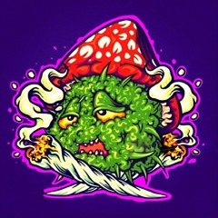 🍄SET-AZO🍄