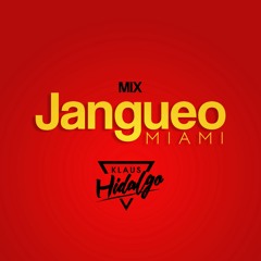 DJ Klaus Hidalgo Jangueo Miami 1
