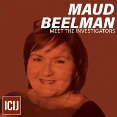 Meet the Investigators: Maud Beelman