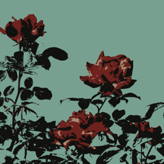 shloxo - care 4 you
