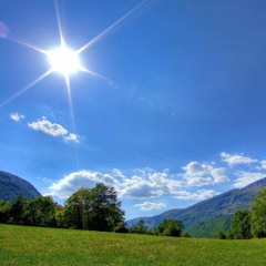 Sunny Day