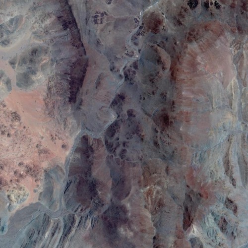 Muteia