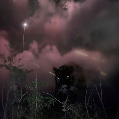 SSGKOBE - HIDEAWAY (shxrkz + level)