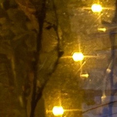 generative sound environment 122225_r01