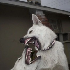 A Million Miles Apart