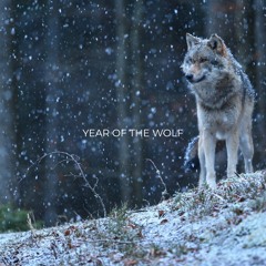 Year Of The Wolf