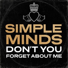 Dont You Forget About Me - Simple Minds - Cover by Retro Spective