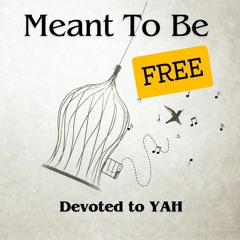 Meant To Be FREE
