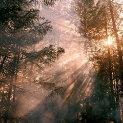 relaxin
(ᵔ◡ᵔ) // dozing off to dreams