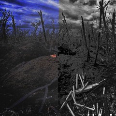 Kolium - One Night In A Dead Forest