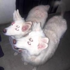 2x / get out the way