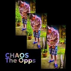 Chaos The Opps