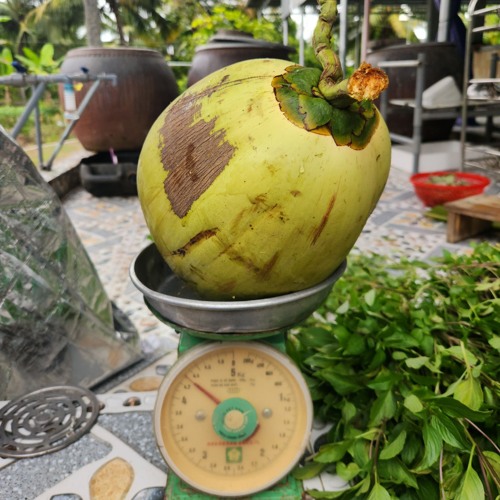 最大的牵挂  ( BậnTâmLớnNhất)