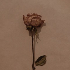 Jonas Brothers - Give Love A Try (Cover)