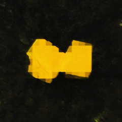 Show Me Love! (Mixes)