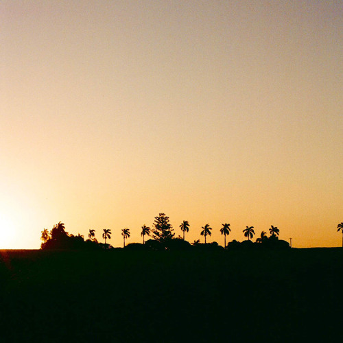 SPRINKK Selects: Summer